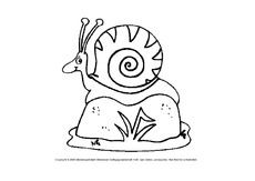 Schnecke-1.pdf